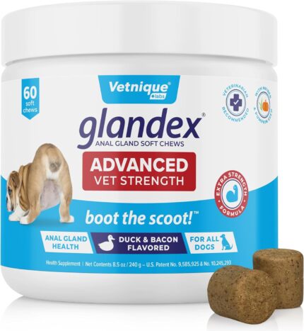 Glandex Anal Gland Soft Chew Treats with Pumpkin for Dogs Digestive Enzymes