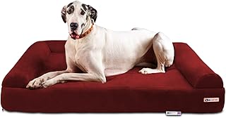 Top 5 Dog Beds for Large Dogs 2025 | Orthopedic & Durable Options